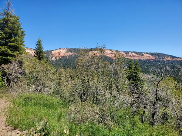 Lot 6 North Fork Estates, Duck Creek Village, UT 84762