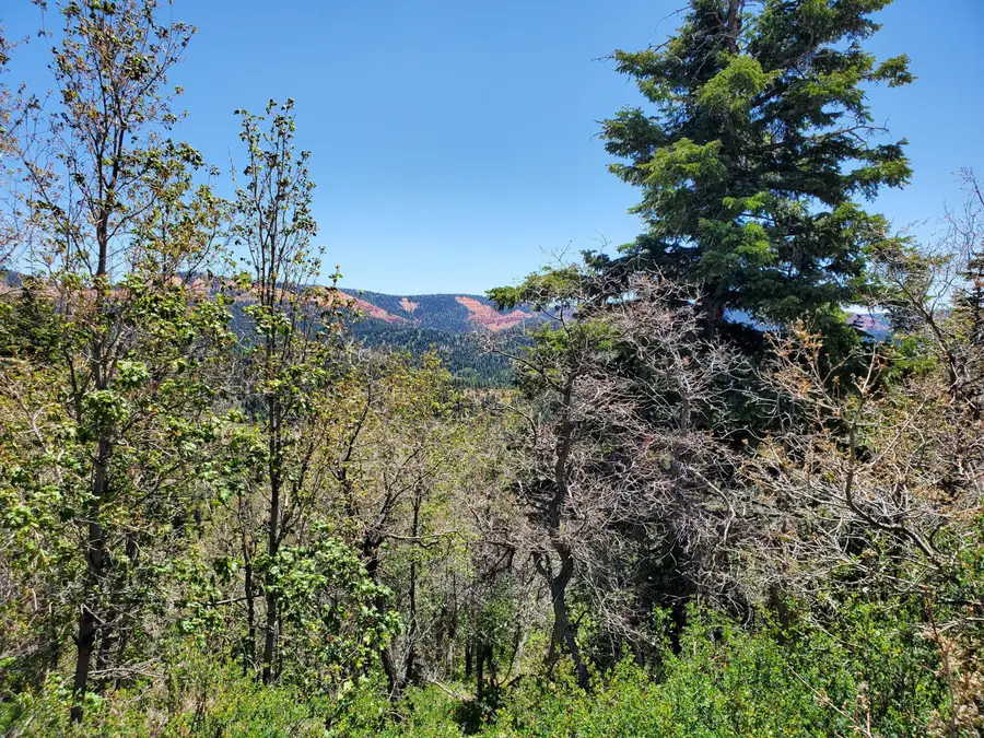 Lot 6 North Fork Estates, Duck Creek Village, UT 84762 - #2