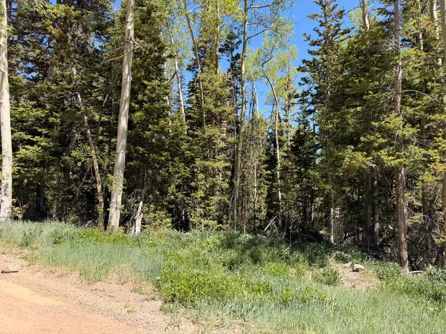 308 W Spruce St, Brian Head, UT 84719 - #3