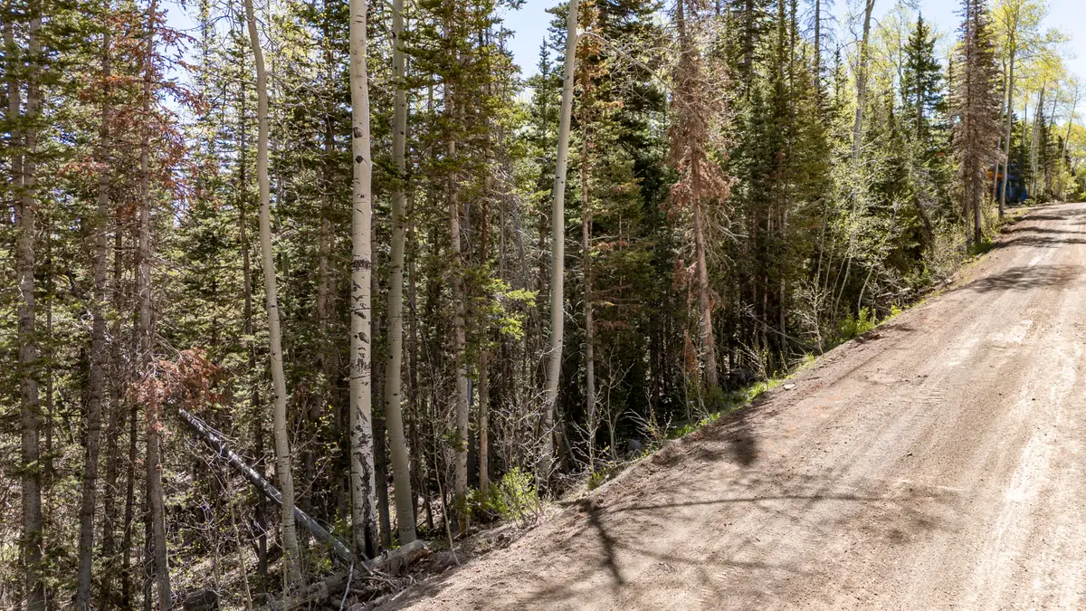 390 W Spruce St, Brian Head, UT 84719 - #1