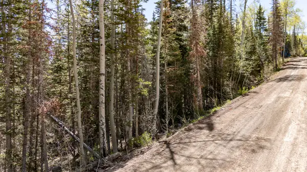 390 W Spruce St, Brian Head, UT 84719