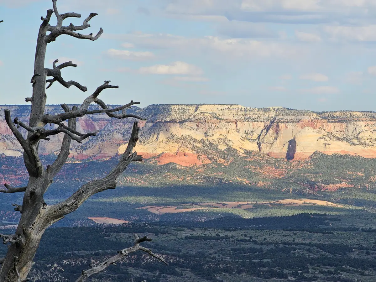 Zions Bluff, County Road 2090, Mount Carmel, UT 84755 - #1