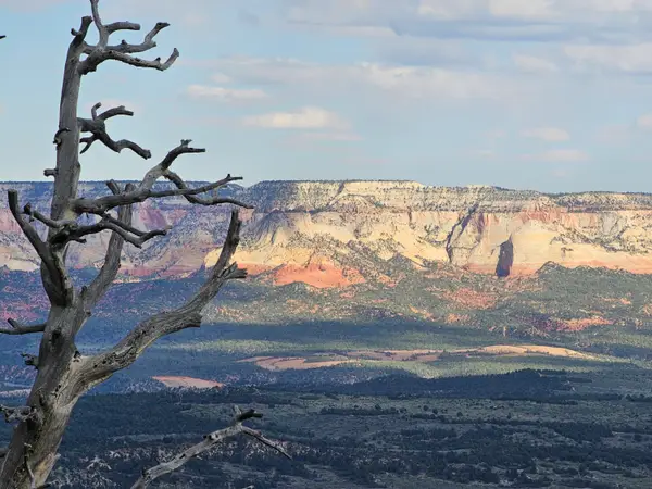 Zions Bluff, County Road 2090, Mount Carmel, UT 84755