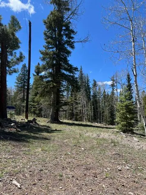 1014 W Chipmunk Rd #Lots 13 & 14, Panguitch, UT 84759