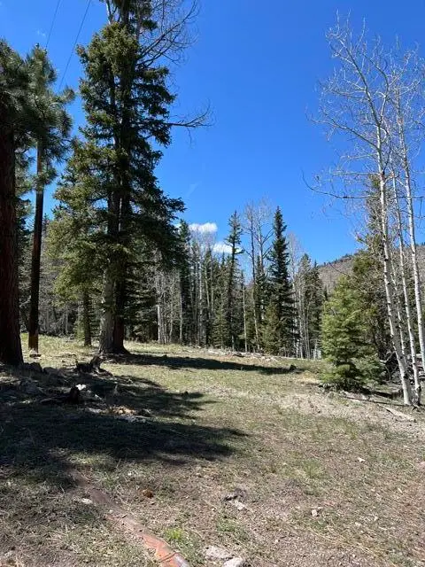 1014 W Chipmunk Rd #Lots 13 & 14, Panguitch, UT 84759 - #2