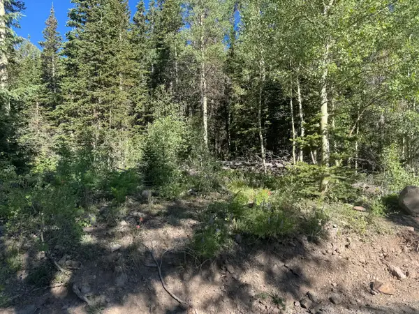 313 N 275 #CBME unit C lot 111, Brian Head, UT 84719