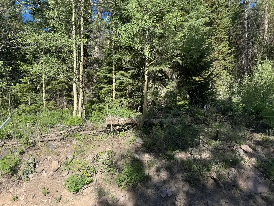 313 N 275 #CBME unit C lot 111, Brian Head, UT 84719 - #2