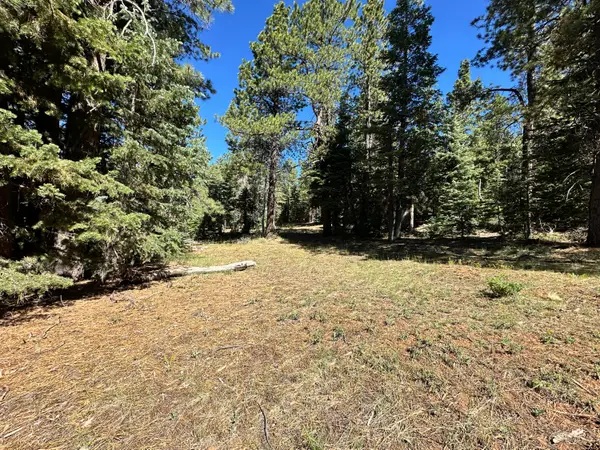 1165 W Doe Trail, Duck Creek Village, UT 84762
