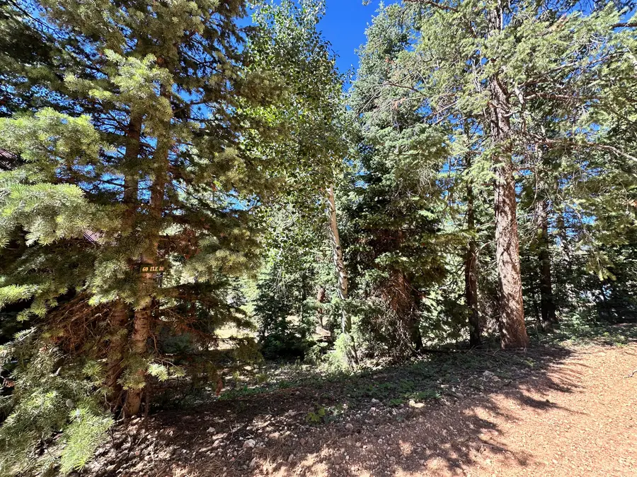 1165 W Doe Trail, Duck Creek Village, UT 84762 - #2