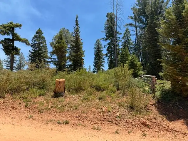1028 N Aspen Dr, Brian Head, UT 84719 - #3