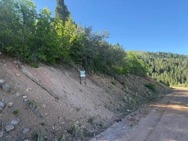S Summit Mountain #LOT 16, 3200, Brian Head, UT 84719 - #2