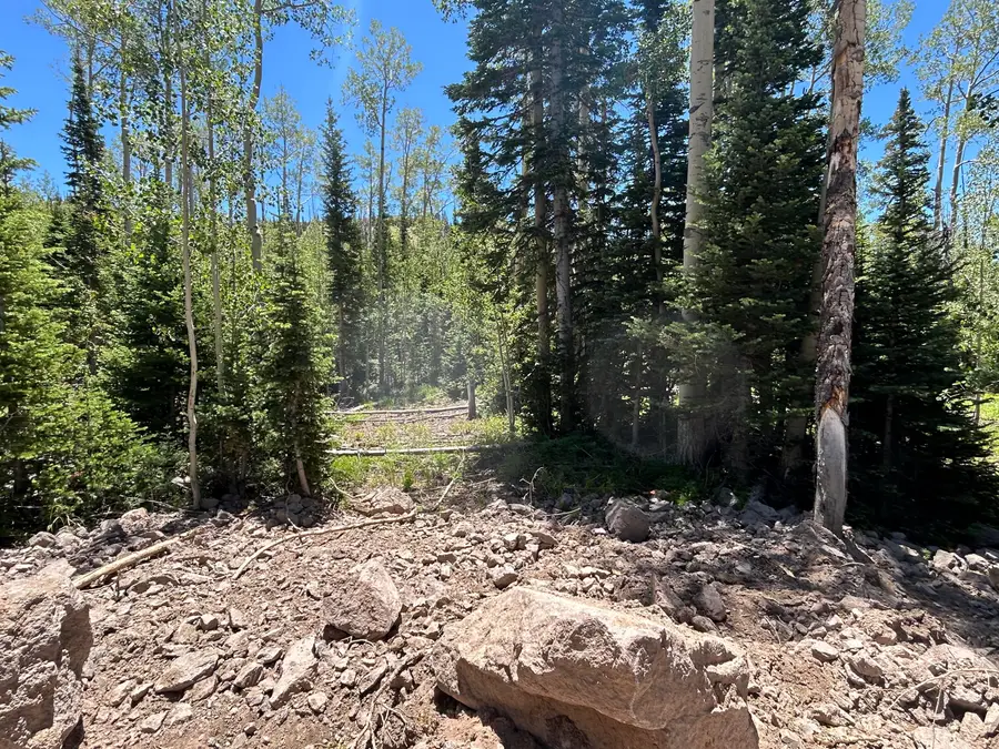 314 E Toboggan Cir, Brian Head, UT 84719 - #2