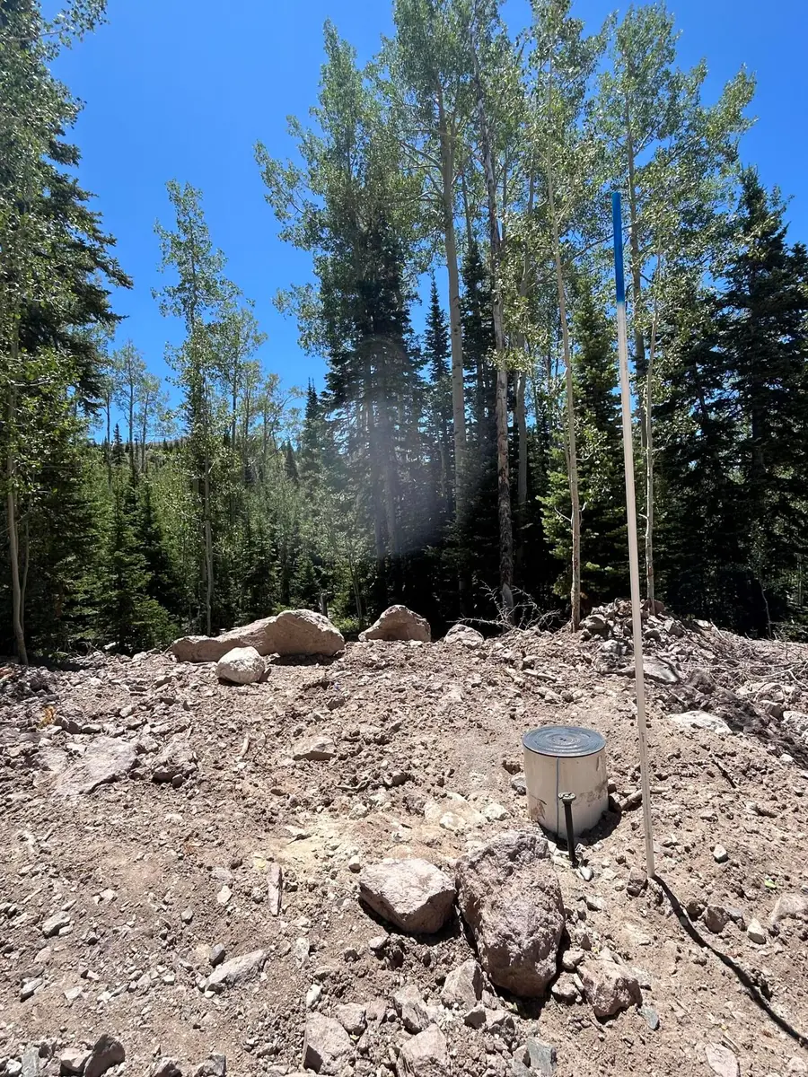 314 E Toboggan Cir, Brian Head, UT 84719 - #3