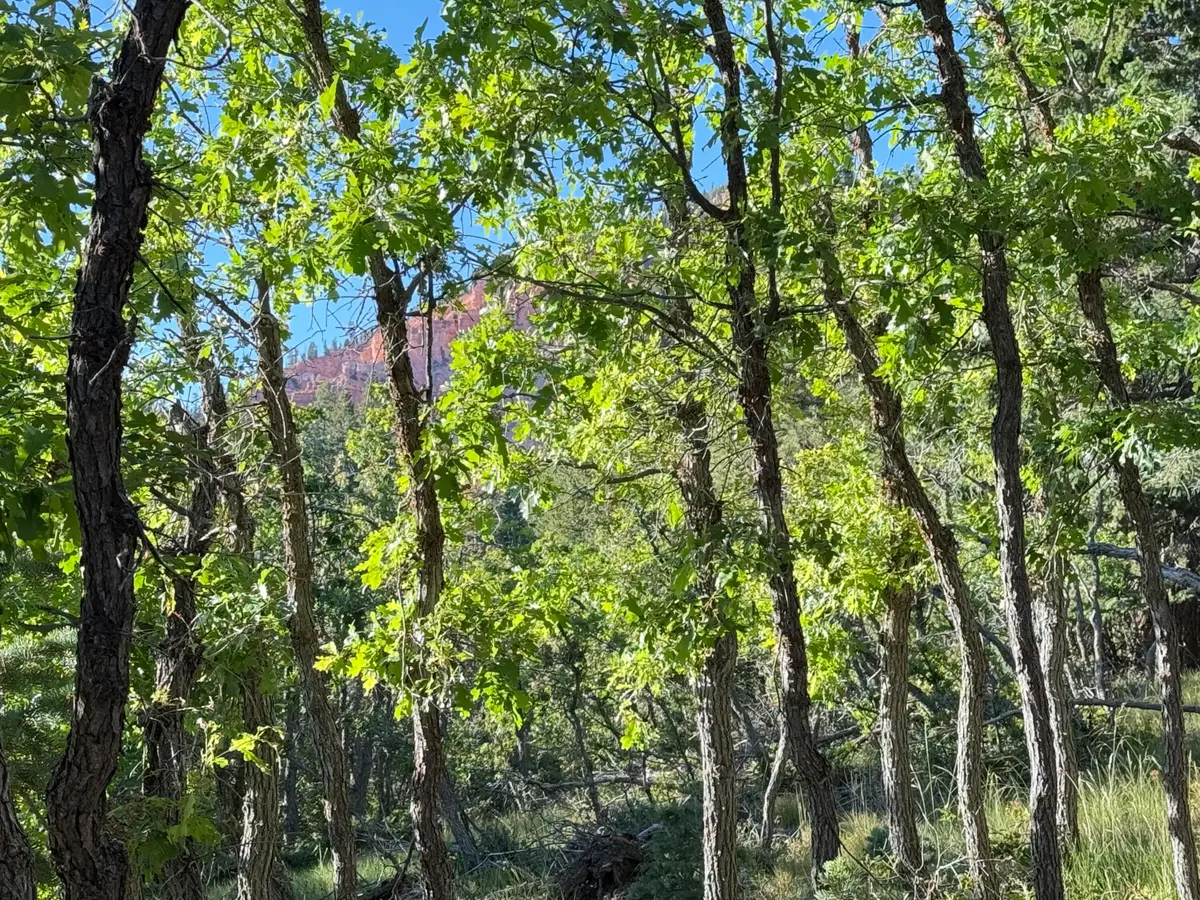 A 4 Wonderland Vista, Duck Creek Village, UT 84762 - #1