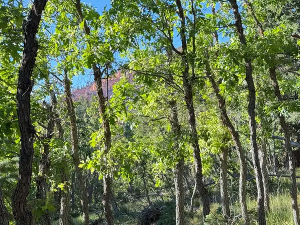 A 4 Wonderland Vista, Duck Creek Village, UT 84762