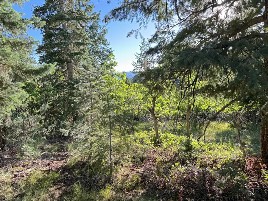 A 4 Wonderland Vista, Duck Creek Village, UT 84762 - #3