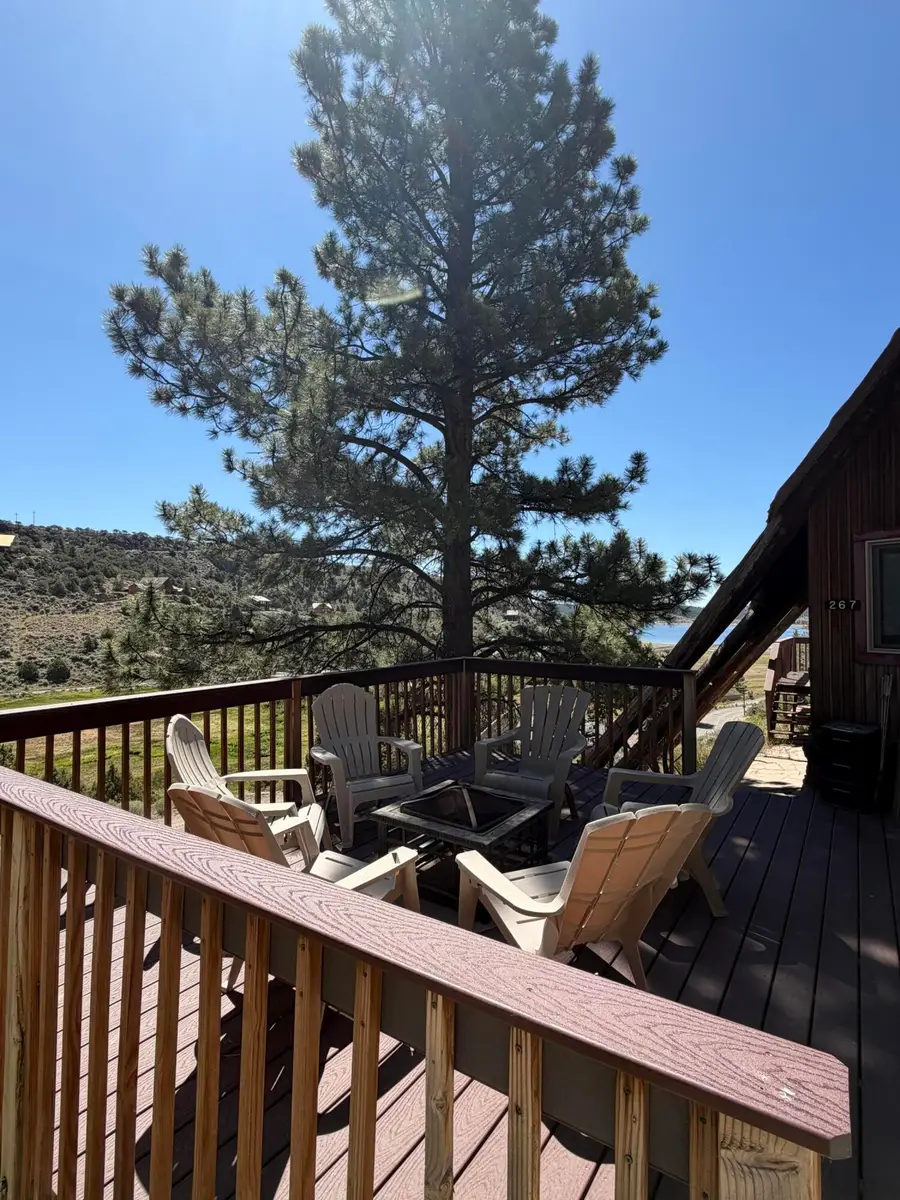 267 N Ipson Creek Dr, Panguitch, UT 84759 - #3