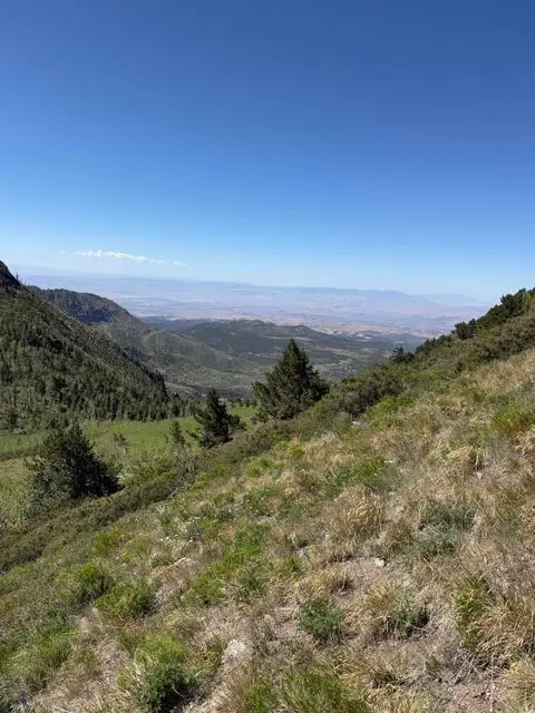 2.15 Acres .50 Af Water, Beryl, UT 84714