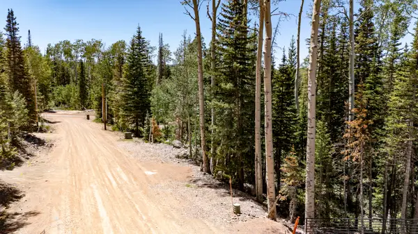 349 E Trail Rd, Brian Head, UT 84719