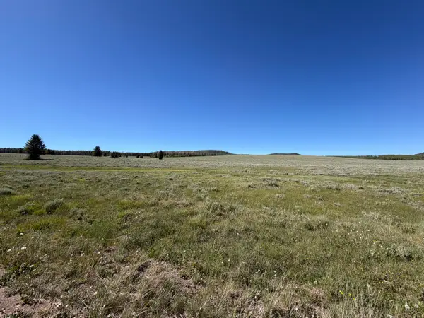 2479 E Meadow Lake Dr, Brian Head, UT 84719