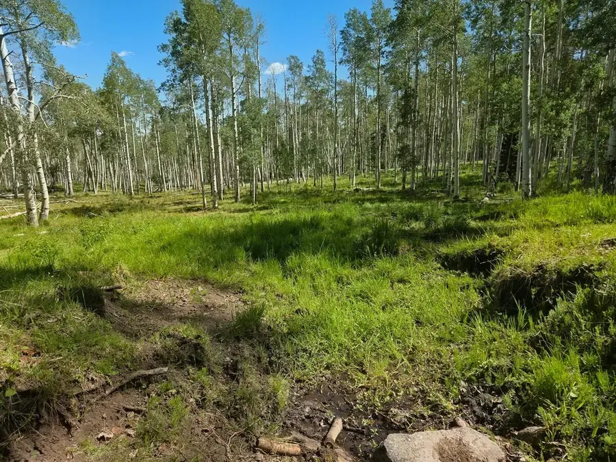 40 Acres Summit Mountain Rd, Brian Head, UT 84719 - #2