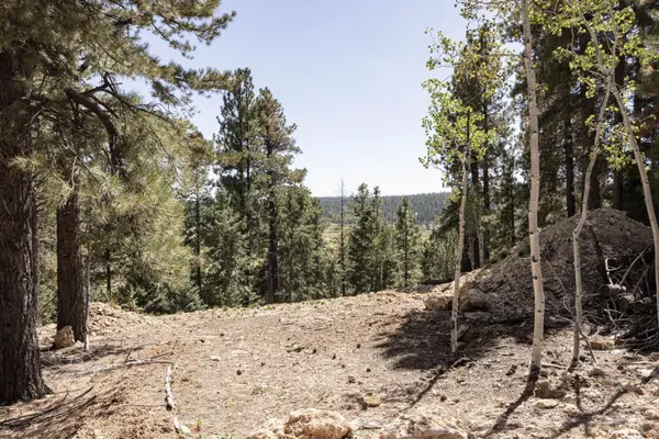 910 E Ridge Dr, Duck Creek Village, UT 84762
