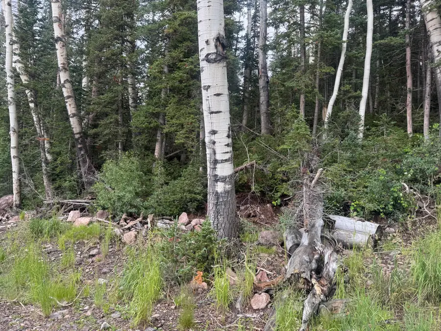 398 N Scenic Dr #CBME unit A lot 28, Brian Head, UT 84719 - #2