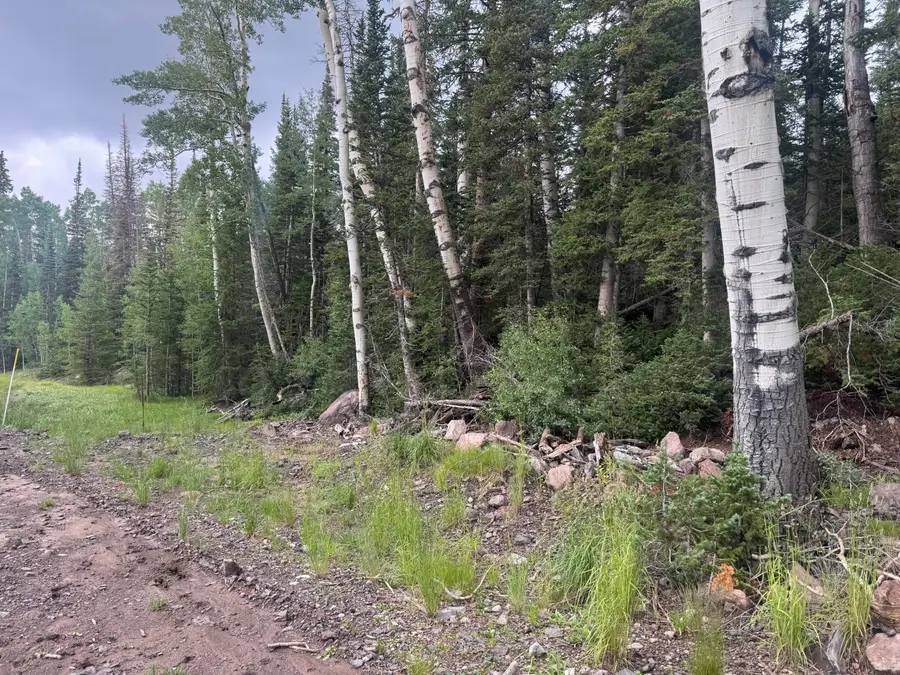 398 N Scenic Dr #CBME unit A lot 28, Brian Head, UT 84719 - #3