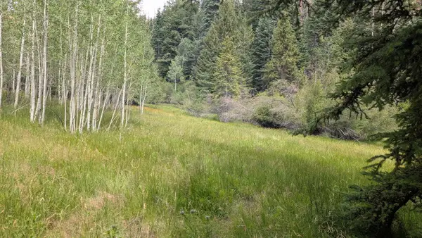 Lot 40 Skyhaven Mountain Retreat #Unit 3, Duck Creek Village, UT 84762