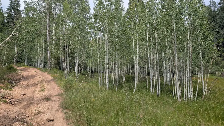 Lot 40 Skyhaven Mountain Retreat #Unit 3, Duck Creek Village, UT 84762 - #2