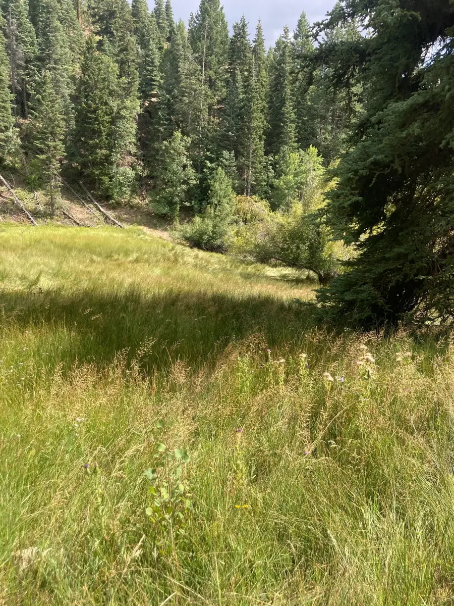 Lot 40 Skyhaven Mountain Retreat #Unit 3, Duck Creek Village, UT 84762 - #3