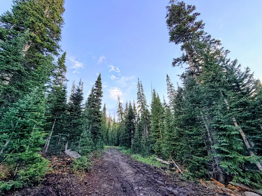 564 Park-u-pine, Brian Head, UT 84719 - #2