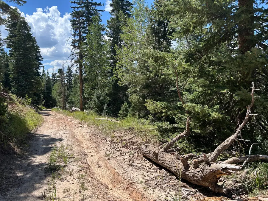 6980 W Kodiak Dr, Duck Creek Village, UT 84762 - #2