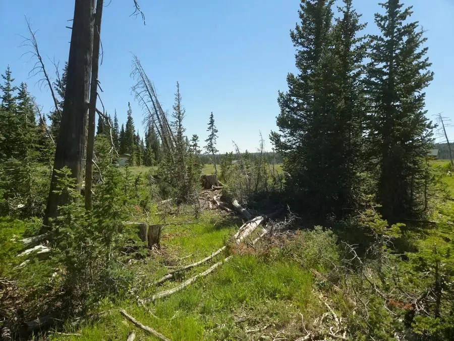 2397 E Rainbow Ln, Brian Head, UT 84719 - #3