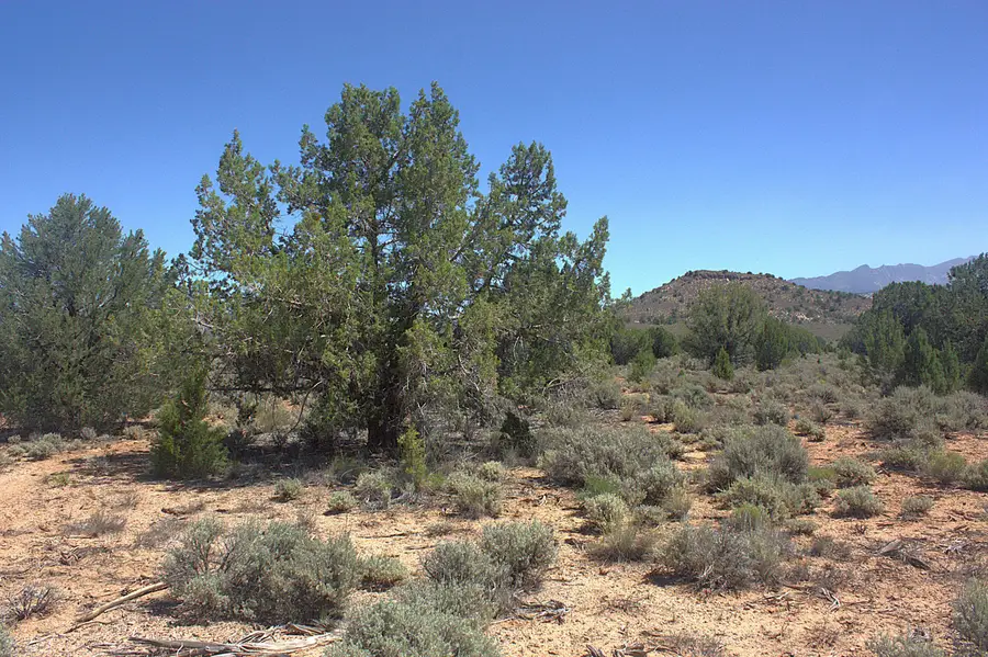 W Juniper Circle Rd, Dammeron Valley, UT 84783 - #2