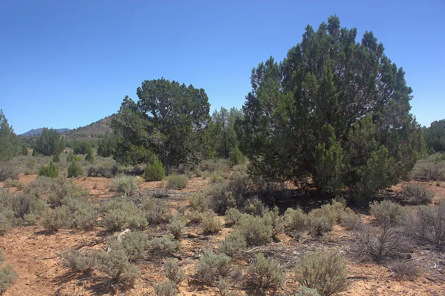 W Juniper Circle Rd, Dammeron Valley, UT 84783 - #3