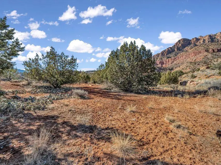 Claret Cup, Springdale, UT 84767 - #2