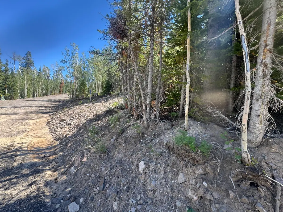 248 E Snowman Dr #SHC unit B blk C lot 7, Brian Head, UT 84719 - #1