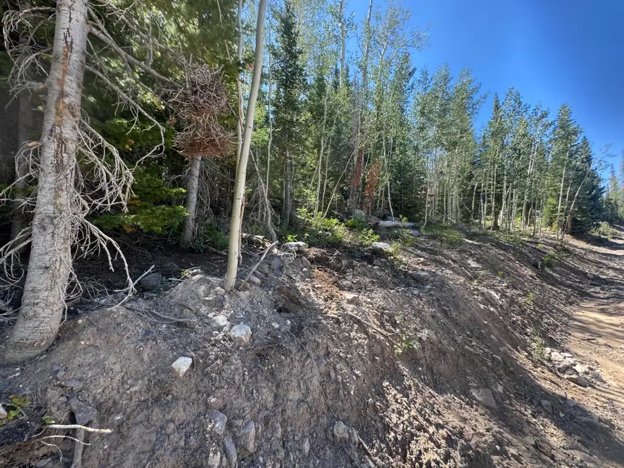 248 E Snowman Dr #SHC unit B blk C lot 7, Brian Head, UT 84719 - #2