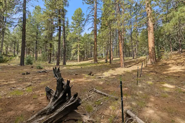 20 Pinetree Trail, Duck Creek Village, UT 84762