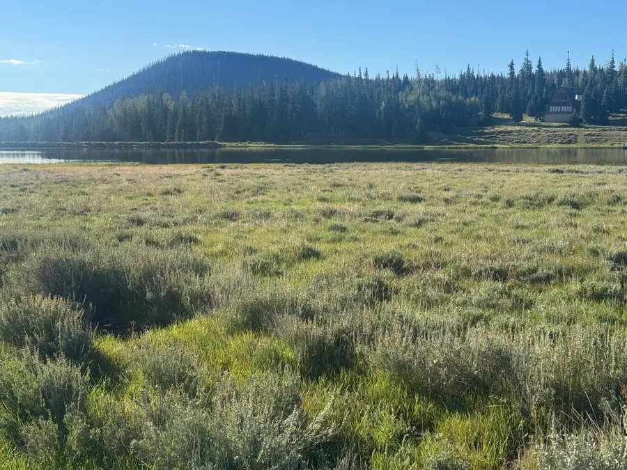E Meadow Lake Dr #Meadow Lake Estates b-AF lot 1, Brian Head, UT 84719 - #3
