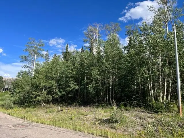 309 W Ridge View St, Brian Head, UT 84719 - #3