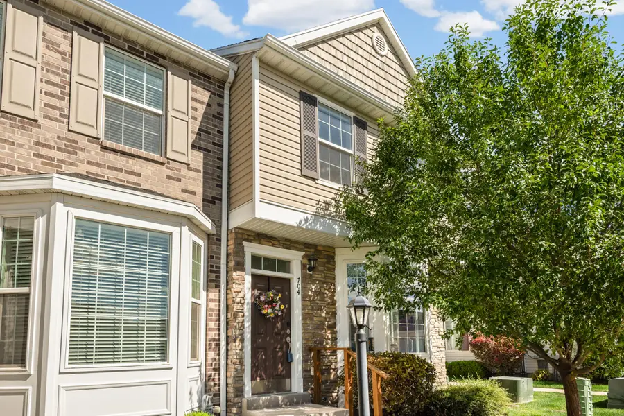 704 N 220, Salem, UT 84653 - #3