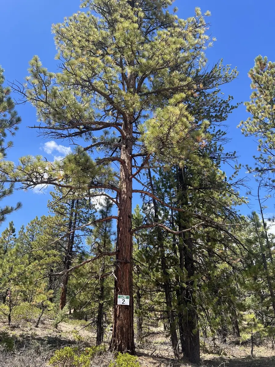 Lot # 2 Elk Ridge Estates Phase 6, Alton, UT 84710 - #3
