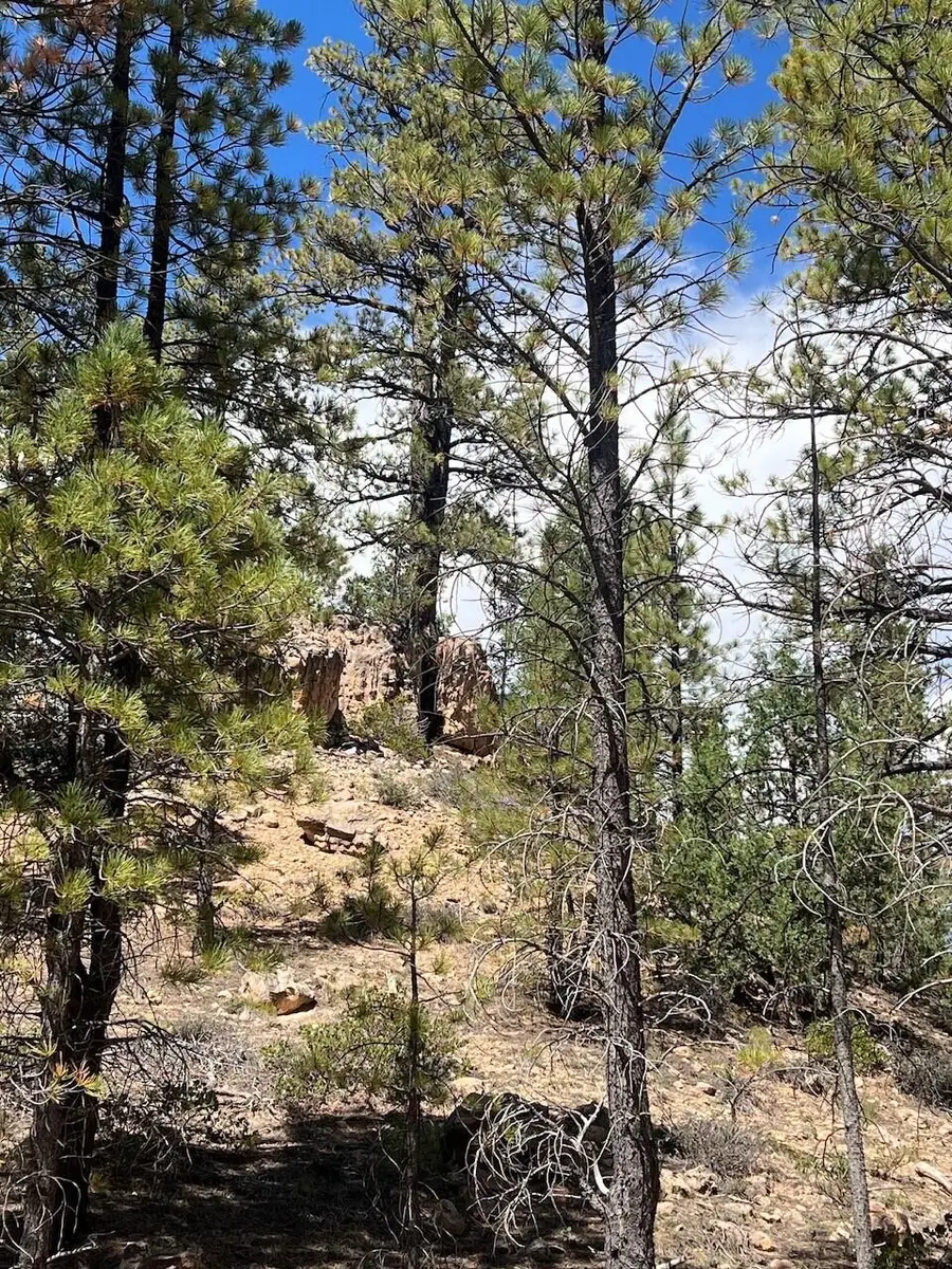 Lot # 4 Elk Ridge Estates Phase 6, Alton, UT 84710 - #3
