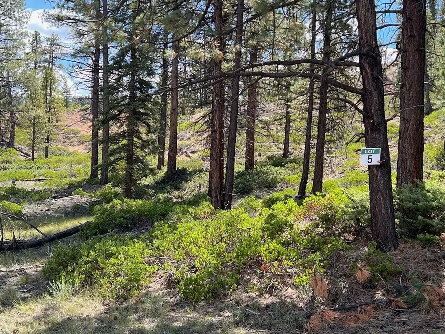 Lot # 5 Elk Ridge Estates Phase 6, Alton, UT 84710 - #3