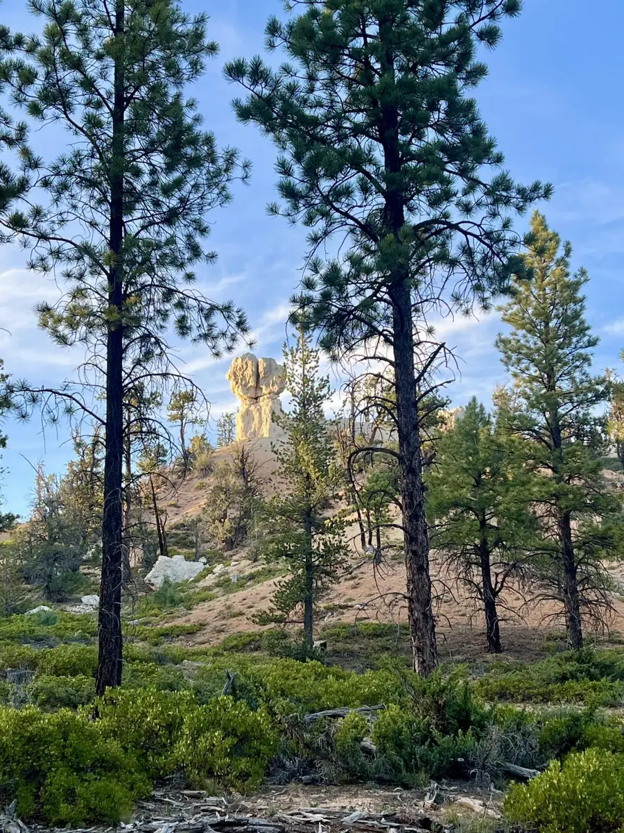 Lot # 6 Elk Ridge Estates Phase 6, Alton, UT 84710 - #3
