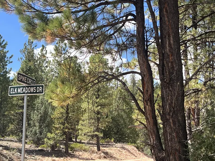 Lot # 8 Elk Ridge Estates Phase 6, Alton, UT 84710 - #2
