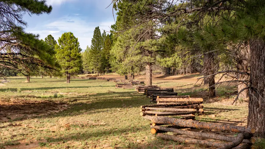 Lot # 9 Elk Ridge Estates Phase 6, Alton, UT 84710 - #2