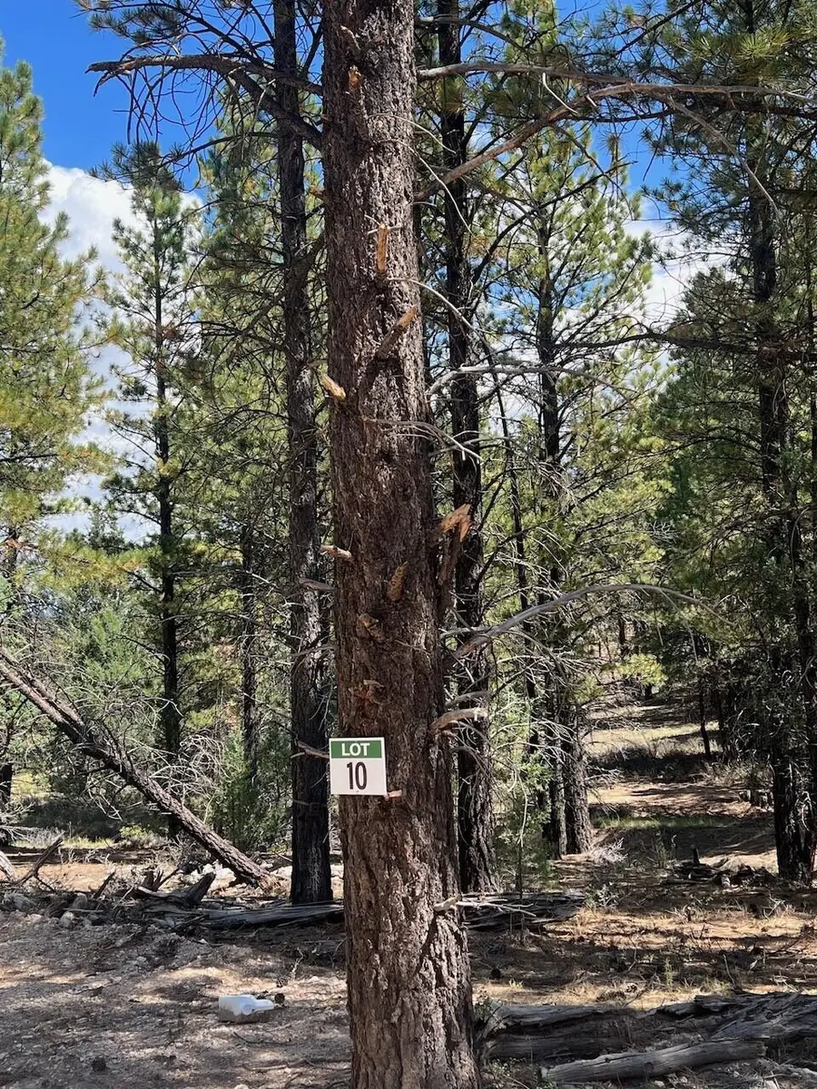 Lot # 10 Elk Ridge Estates Phase 6, Alton, UT 84710 - #3